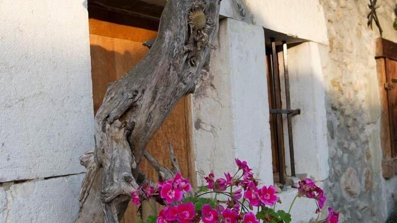 Photo of Outdoor in Val-de-Fier