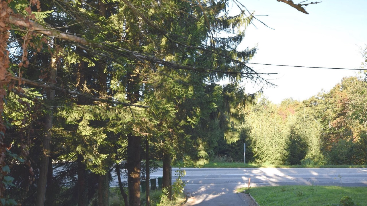 Photo of Others in Vrbovsko