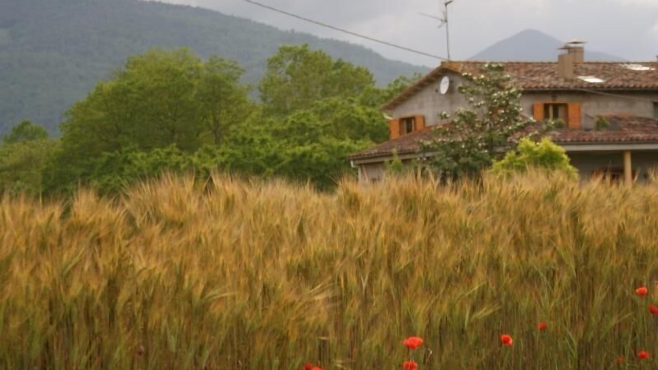 Photo of Outdoor in Santa Margarida de Bianya