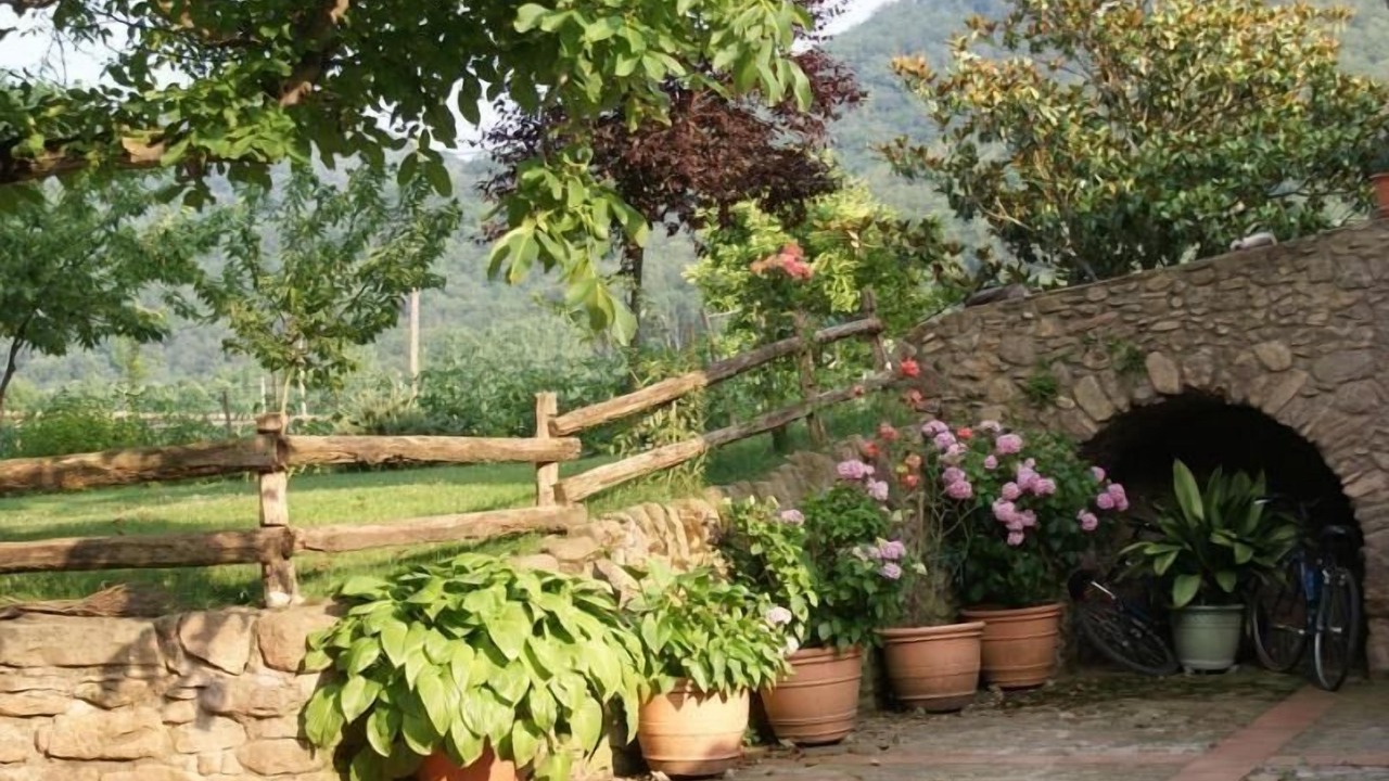 Photo of Outdoor in Santa Margarida de Bianya