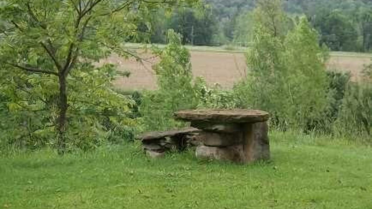 Photo of Outdoor in Santa Margarida de Bianya