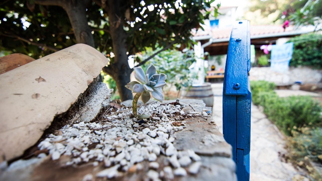 Photo of Outdoor in Pasman