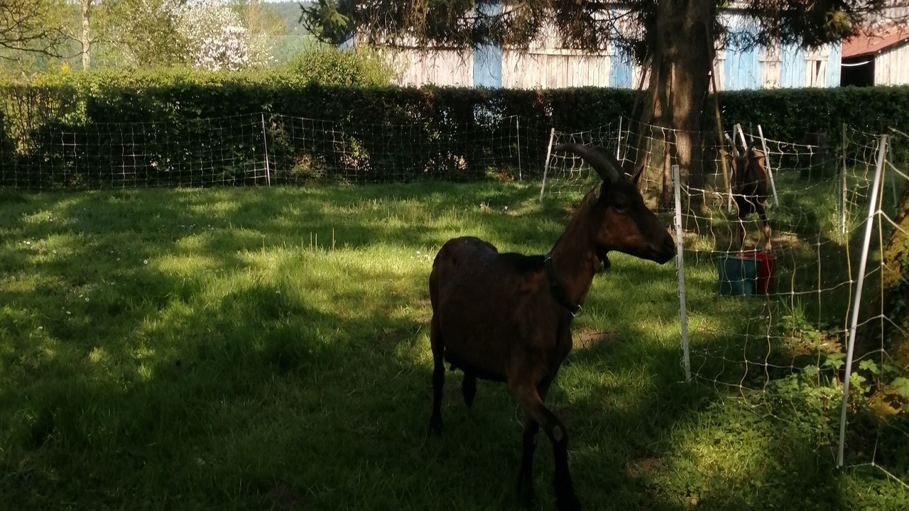 Photo of Outdoor in Grandcourt
