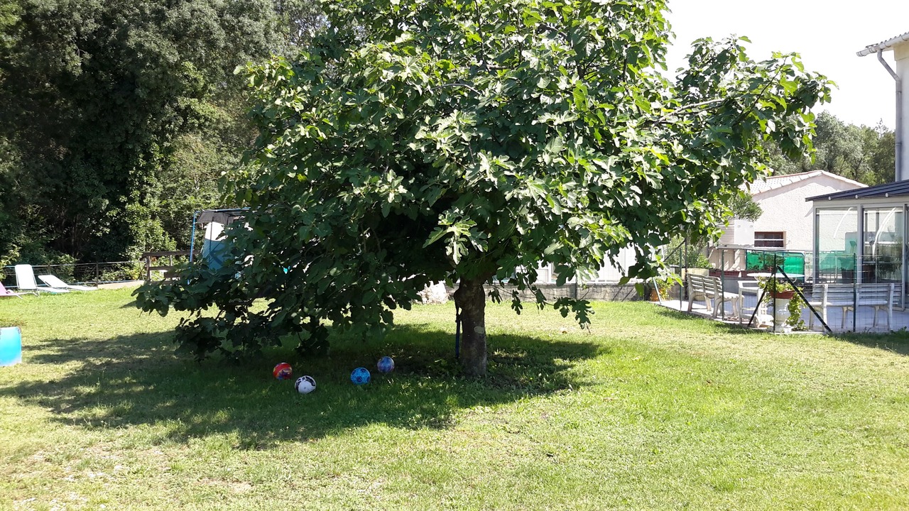 Photo of Outdoor in Salindres