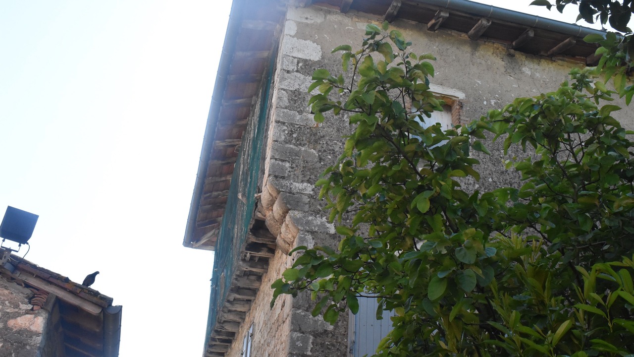 Photo of Outdoor in Septfonds