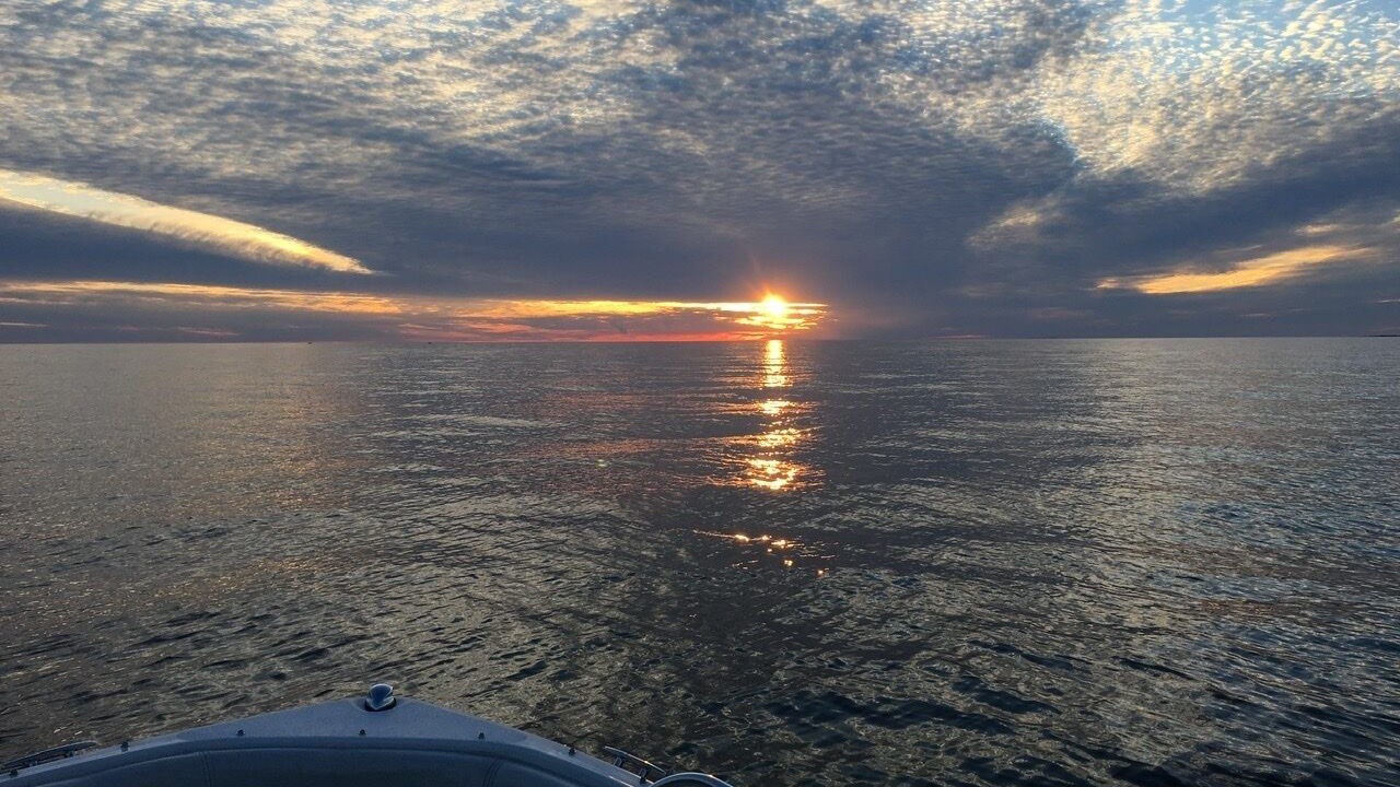 Photo of Others in Byng Inlet