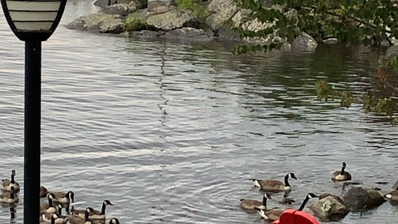 Photo of Outdoor in Byng Inlet