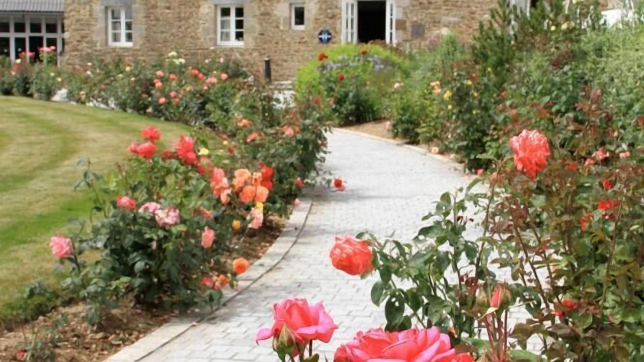 Photo of Outdoor in Saint-Jouan-des-Guerets