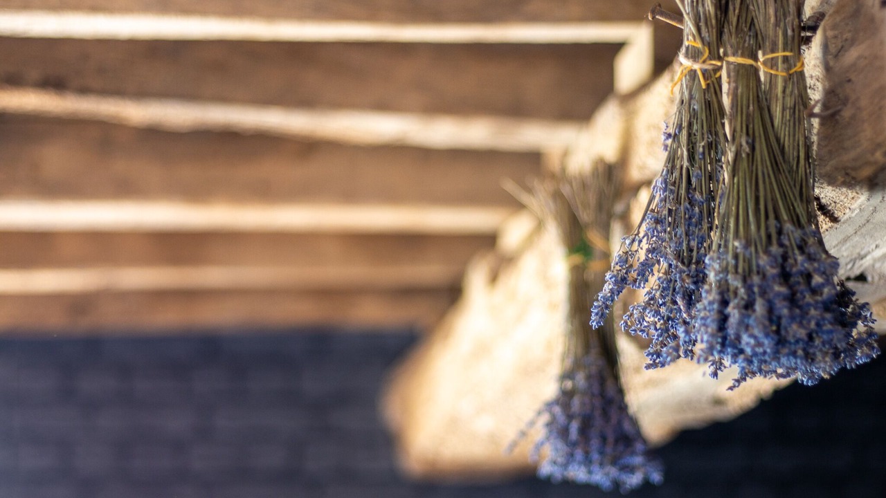 Photo of Others in Saint-Hilaire-Fontaine