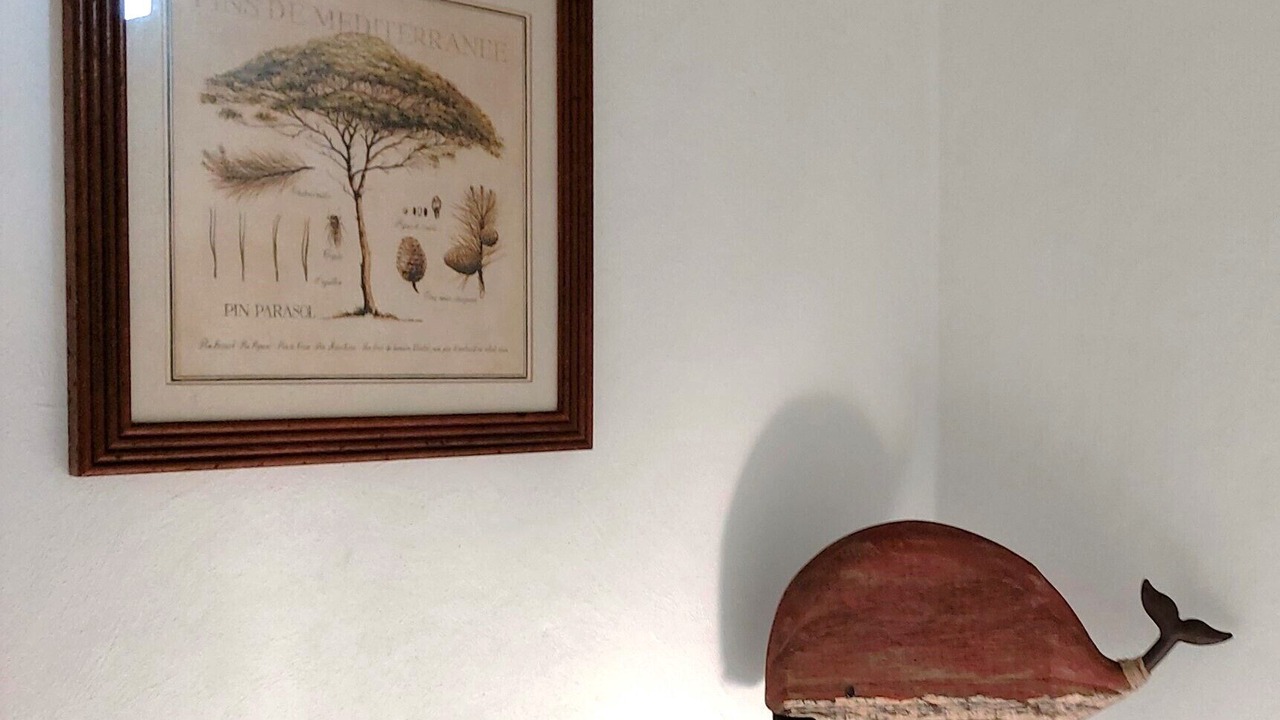 Photo of Others in Mandelieu-La-Napoule