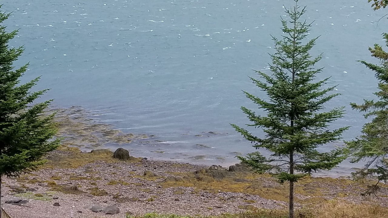 Photo of Others in Lubec