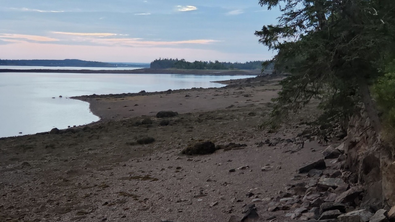Photo of Others in Lubec