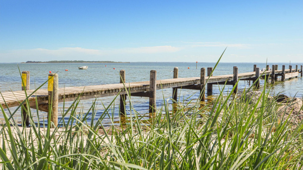 Photo of Others in Fynshav