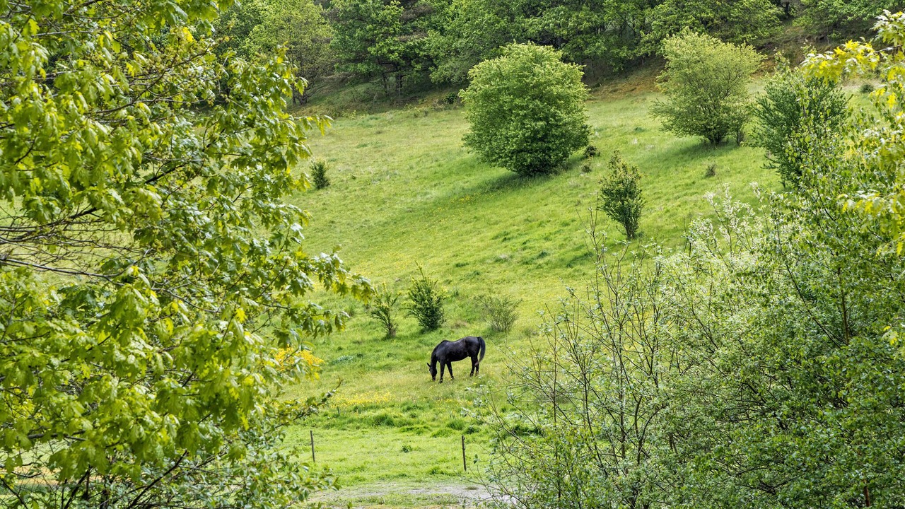Photo of Bedroom in Femmøller