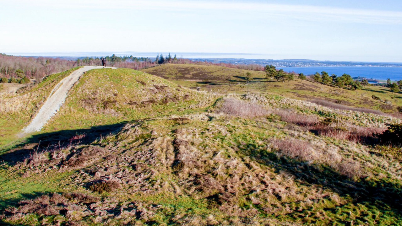 Photo of Others in Femmøller