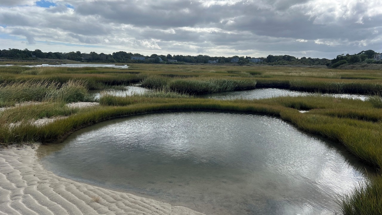 Photo of Others in Barnstable