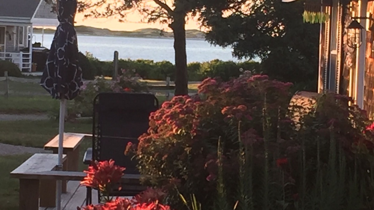 Photo of Others in Barnstable