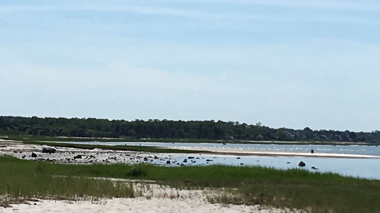 Photo of Others in Barnstable