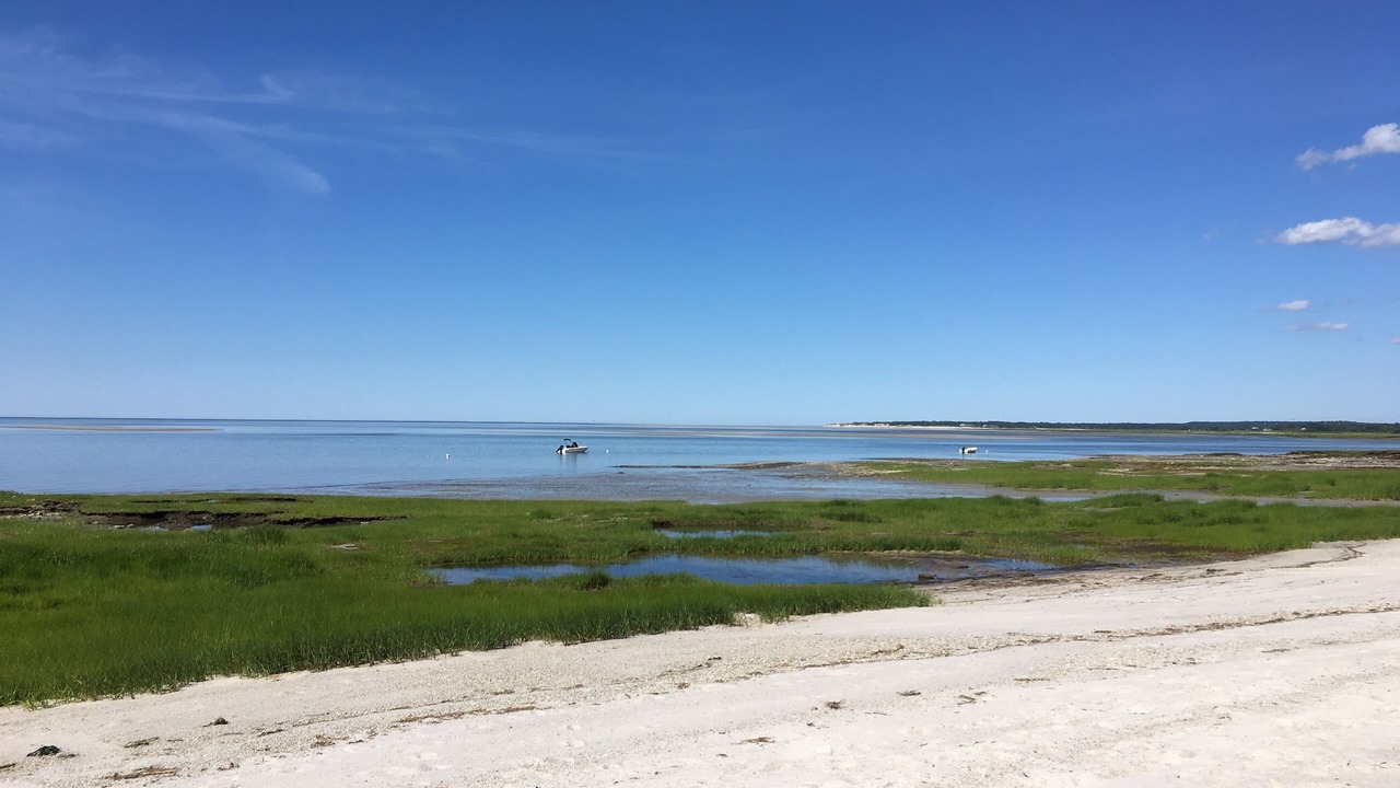 Photo of Others in Barnstable