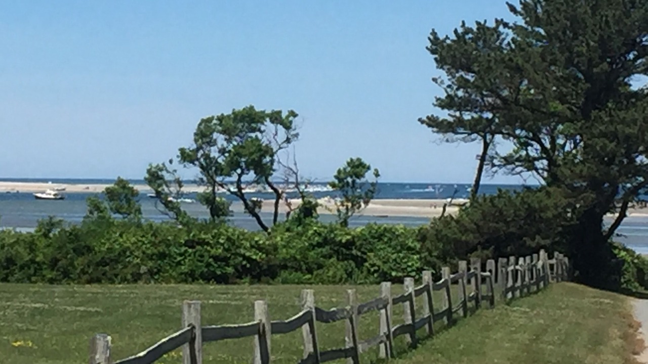 Photo of Others in Barnstable