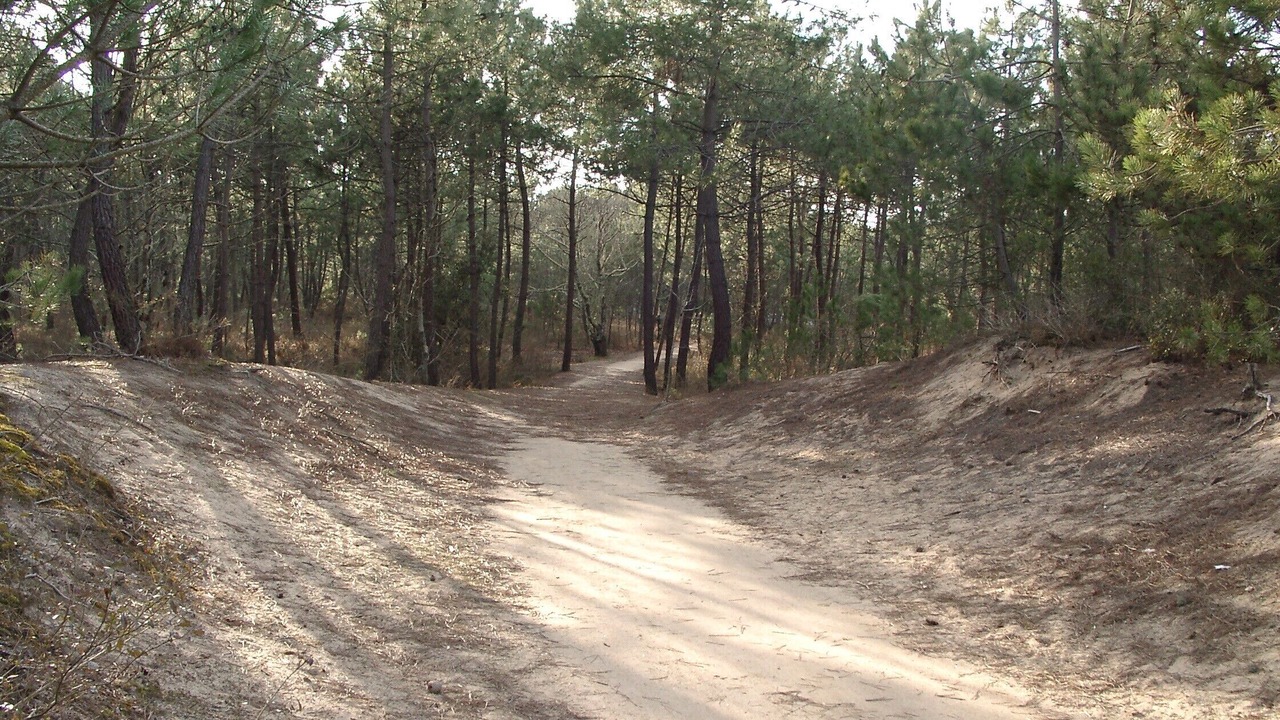 Photo of Others in La Barre-de-Monts