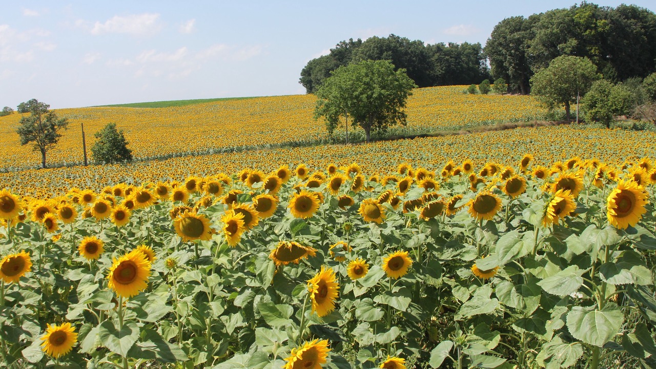 Photo of Outdoor in Obterre