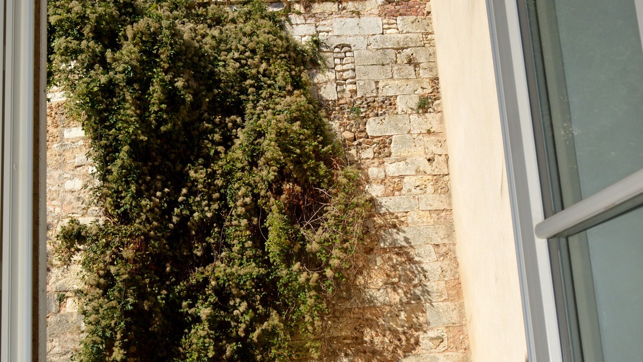 Photo of Others in Chartres