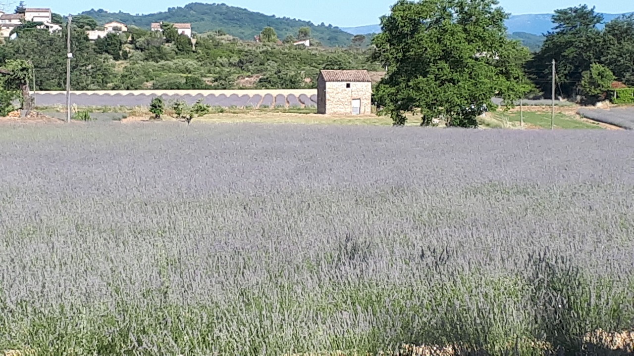 Photo of Outdoor in Saint-Victor-de-Malcap