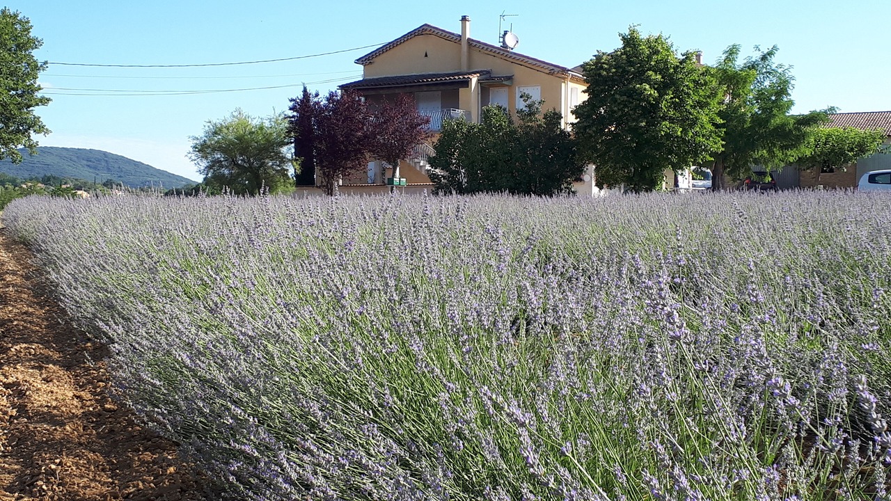 Photo of Outdoor in Saint-Victor-de-Malcap