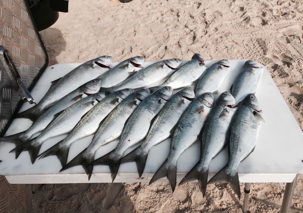 Photo of Others in Happy Valley