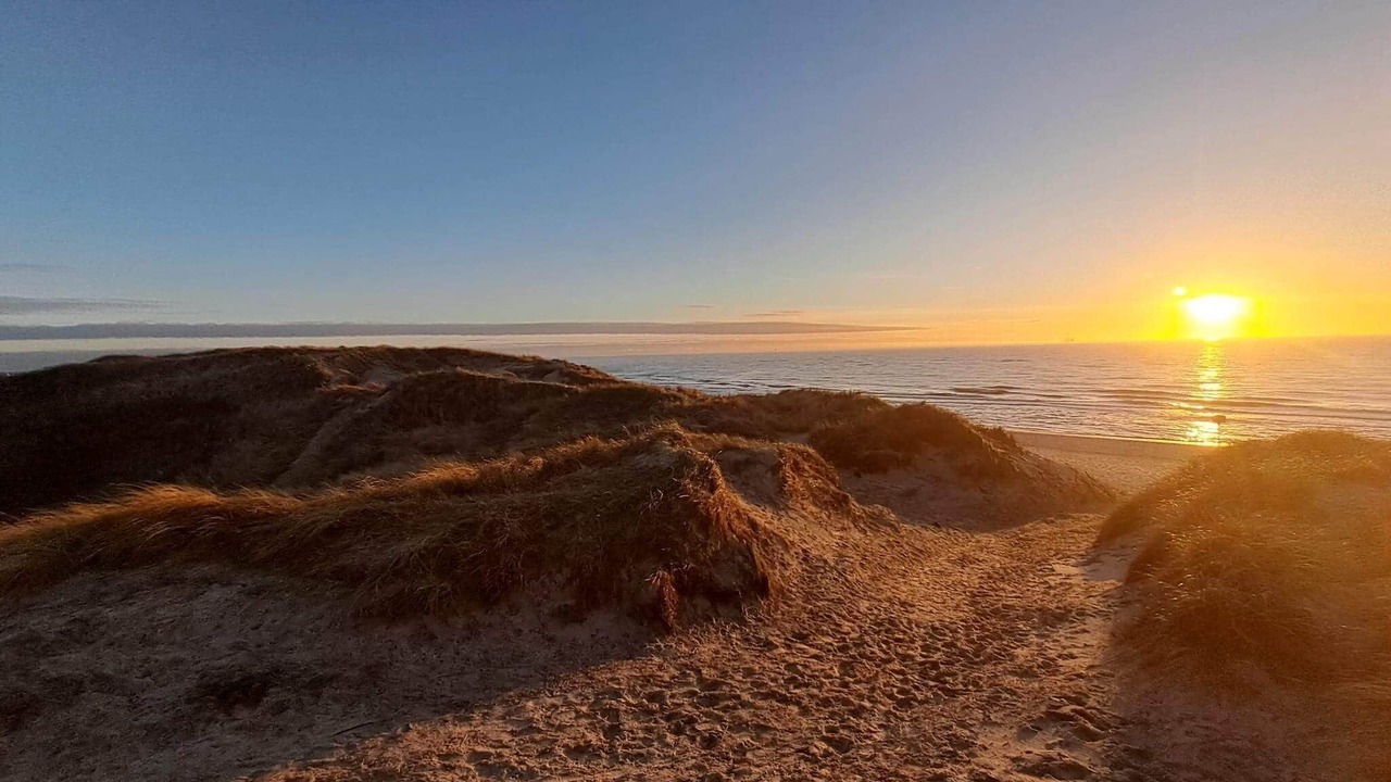 Photo of Others in Hvide Sande