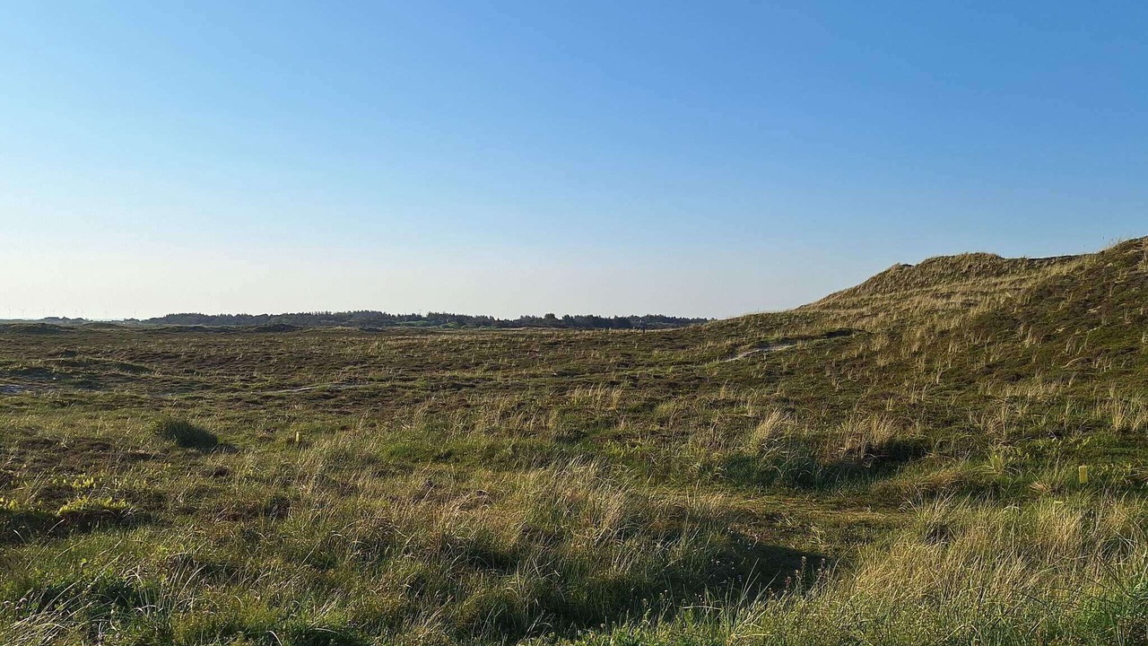 Photo of Others in Hvide Sande