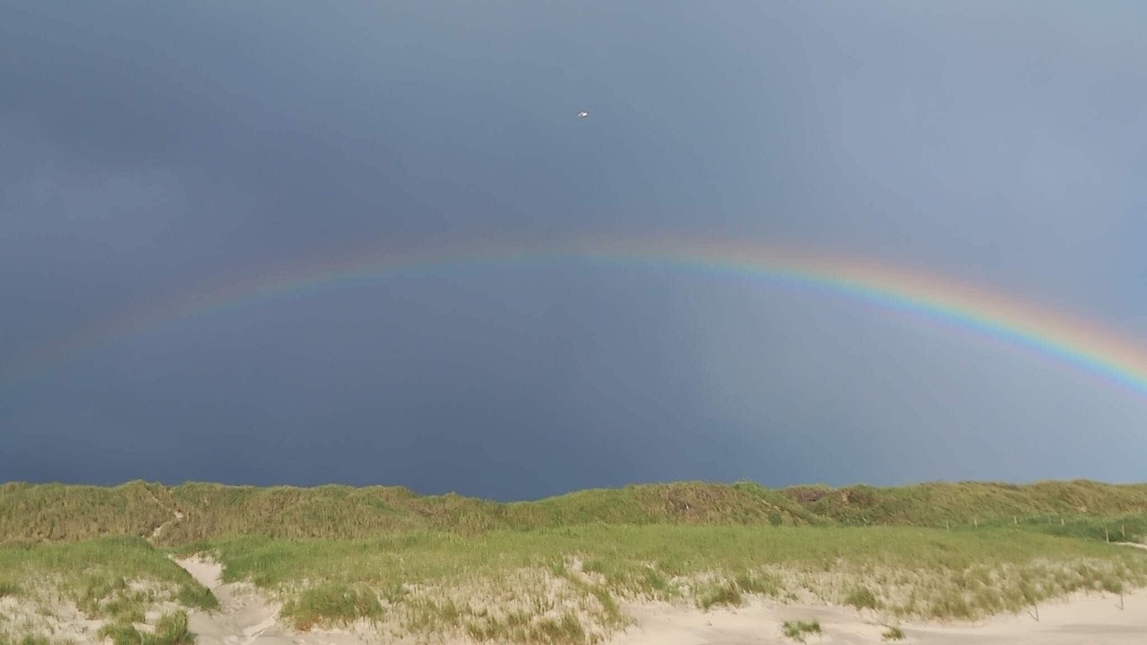 Photo of Others in Hvide Sande