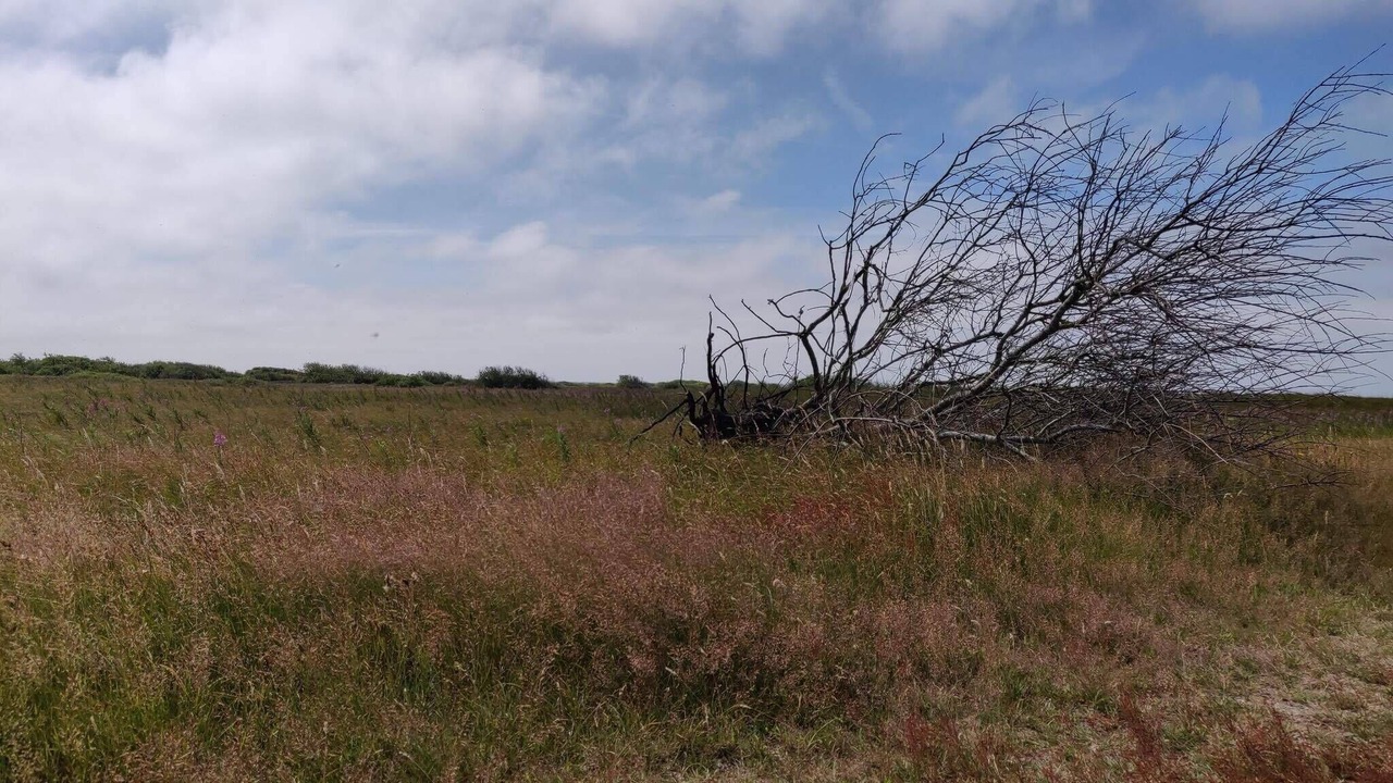 Photo of Others in Hvide Sande