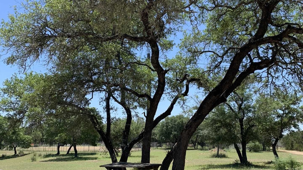 Photo of Others in Pipe Creek