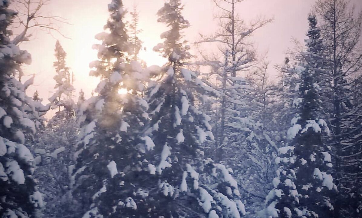 Photo of Others in Grand Marais