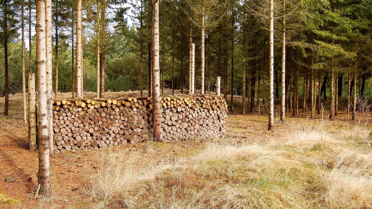 Photo of Outdoor in Houstrup