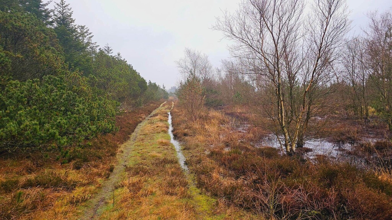 Photo of Others in Houstrup