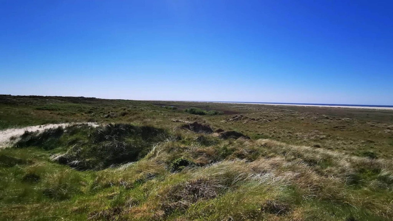 Photo of Others in Rindby Strand