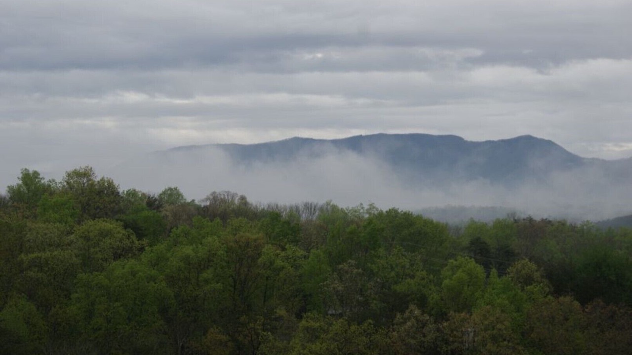 Photo of Others in Sevierville
