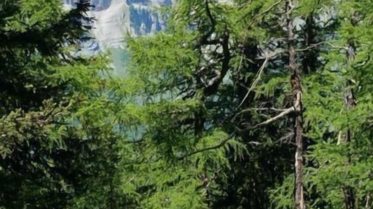 Photo of Others in Albinen