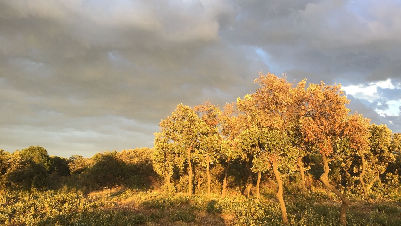 Photo of Outdoor in Vic-la-Gardiole