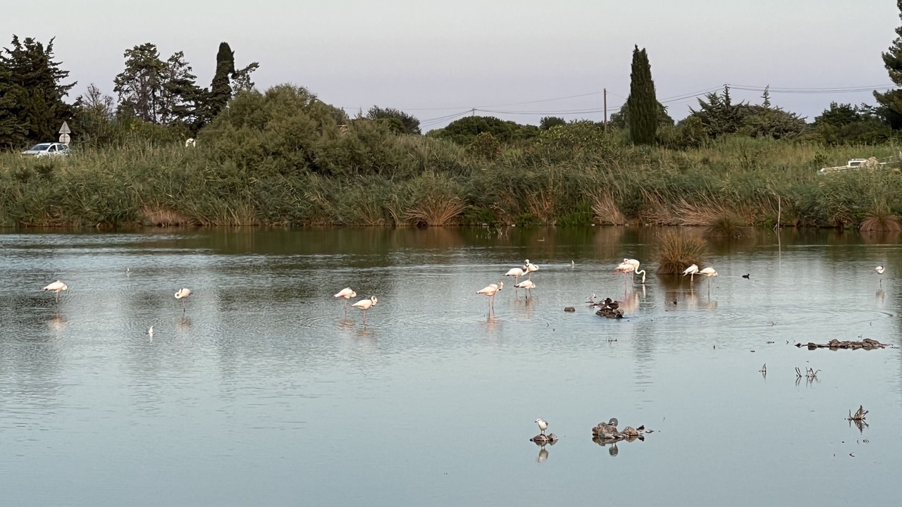 Photo of Outdoor in Vic-la-Gardiole