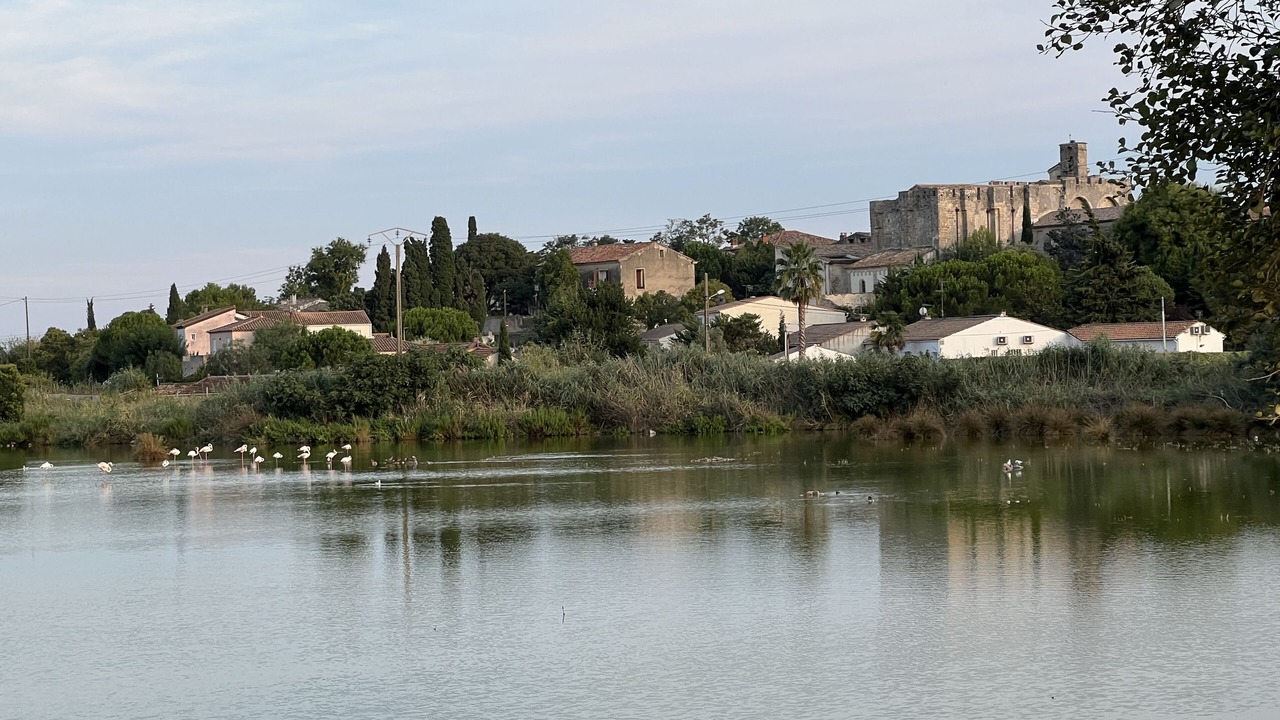 Photo of Outdoor in Vic-la-Gardiole