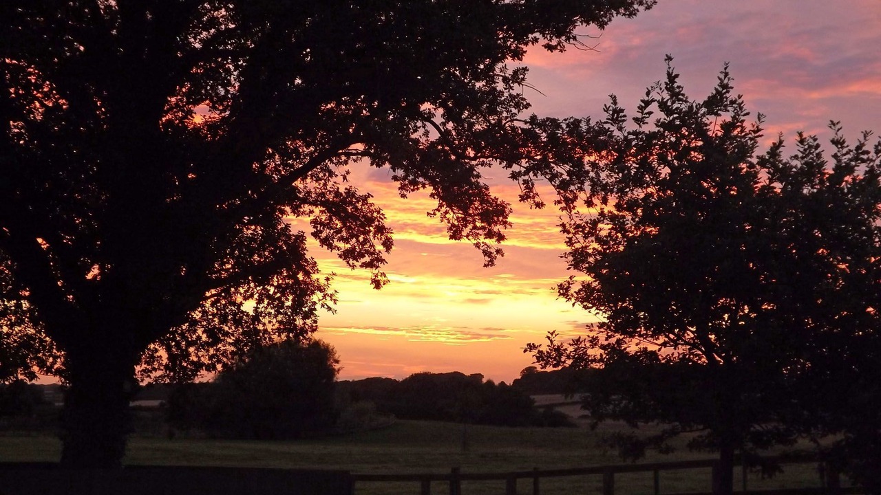 Photo of Others in Beverley