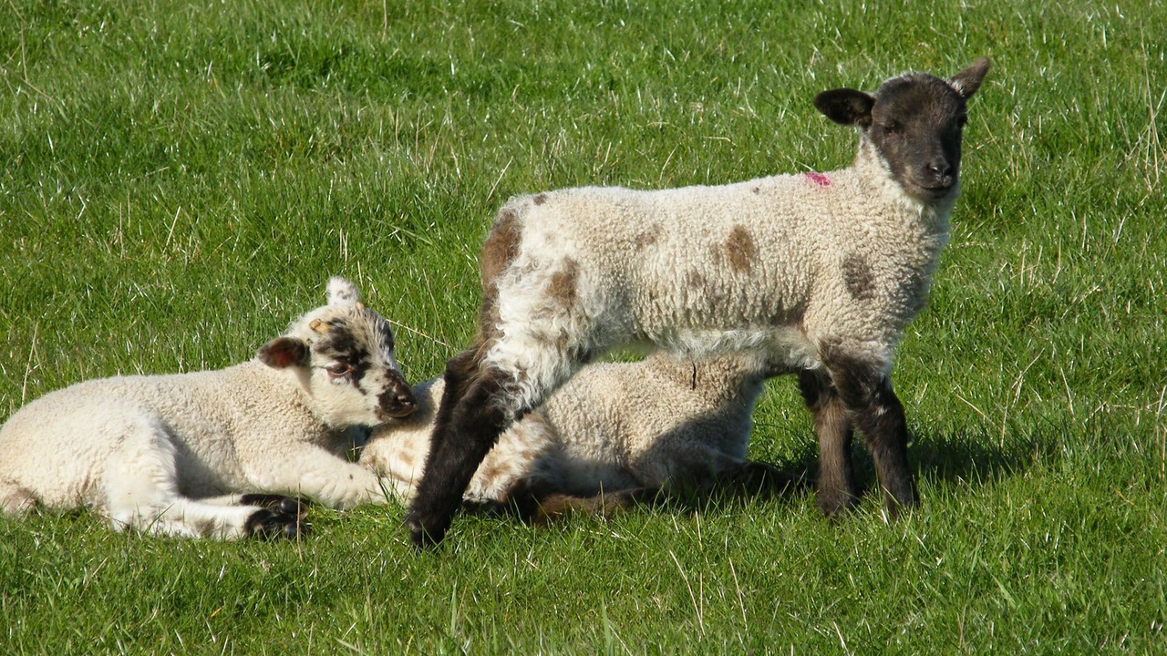 Photo of Outdoor in Beverley
