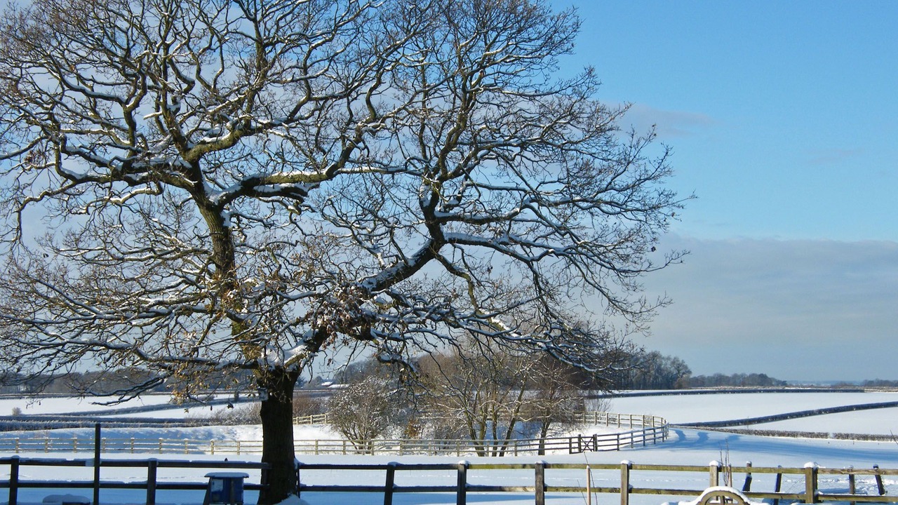 Photo of Outdoor in Beverley