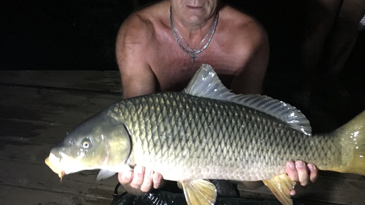 Photo of Others in Lafitte-sur-Lot