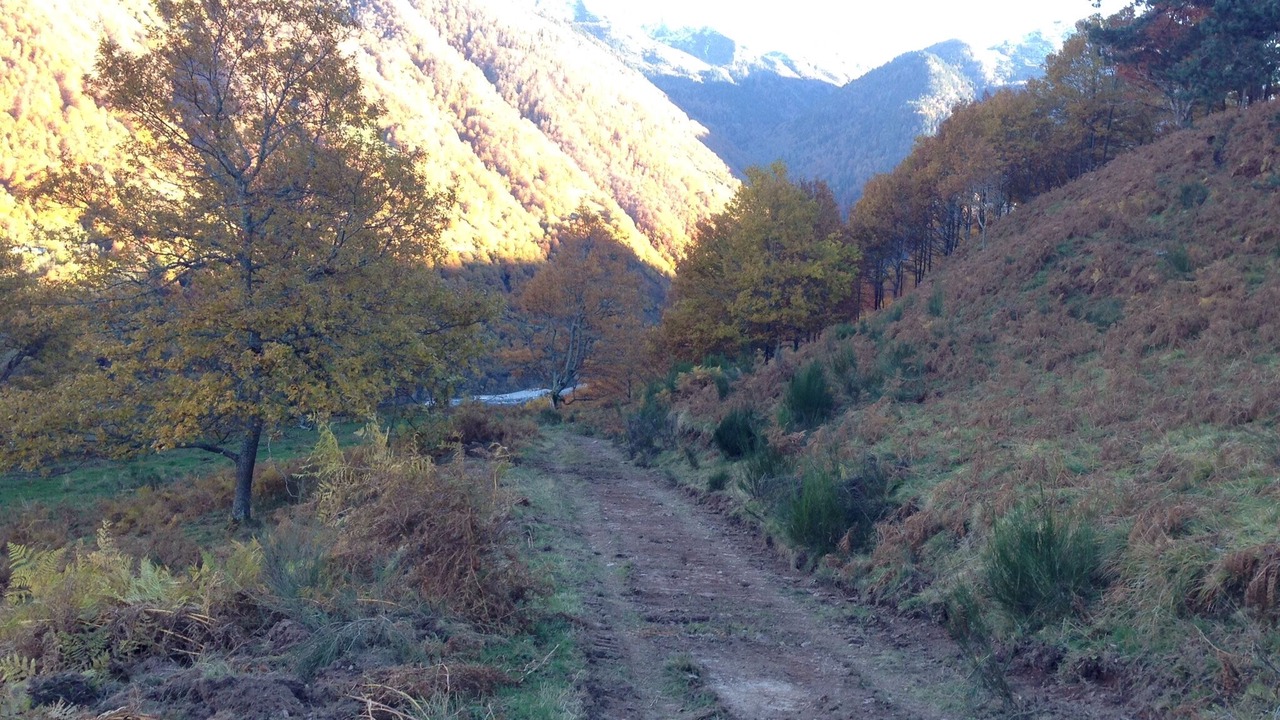 Photo of Outdoor in Borce