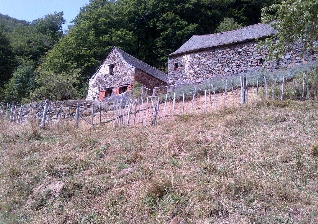 Photo of Outdoor in Borce